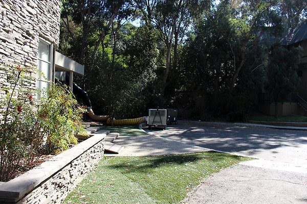 IMG 7661