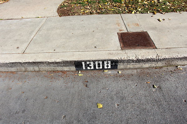 IMG 7773