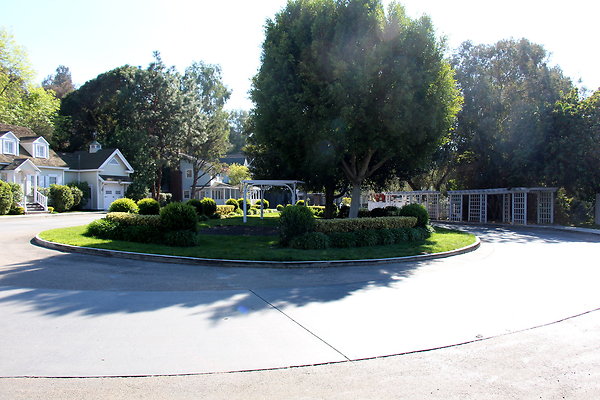 IMG 7704