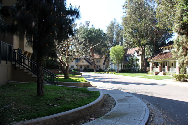 IMG 7660
