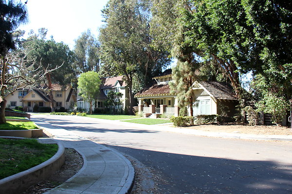 IMG 7659