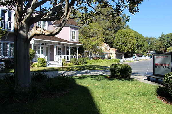 IMG 7751