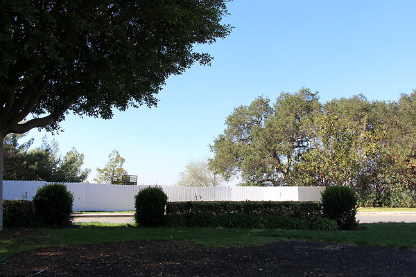 IMG 7697