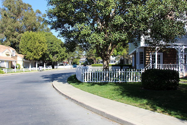 IMG 7680