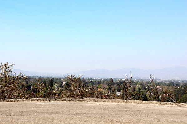 IMG 7707
