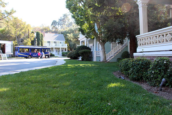 IMG 7750