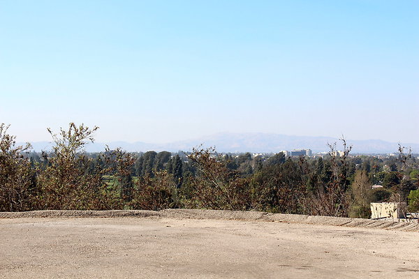 IMG 7714