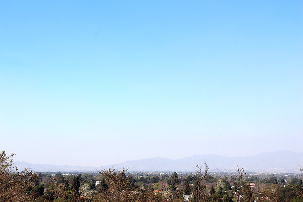 IMG 7708