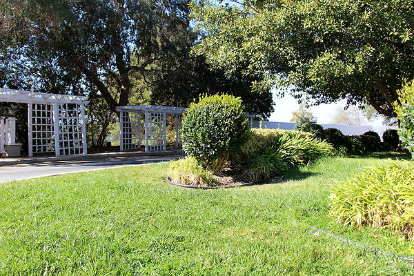 IMG 7688