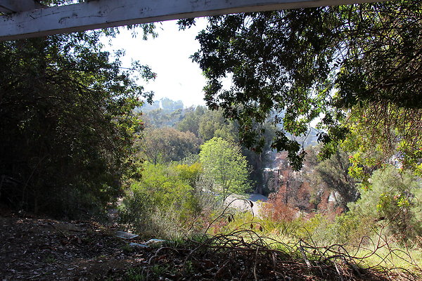 IMG 7737