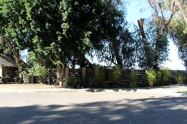 IMG 7658
