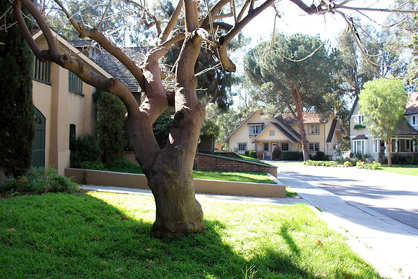 IMG 7663