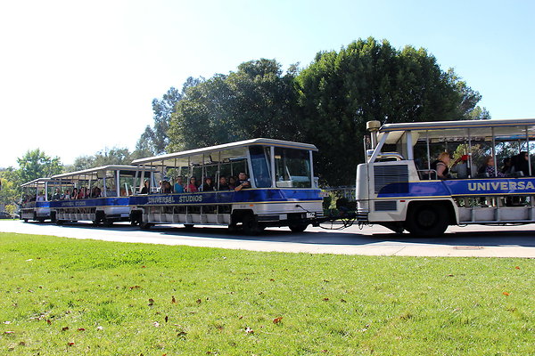 IMG 7724