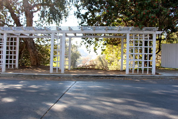 IMG 7733