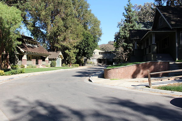 IMG 7651
