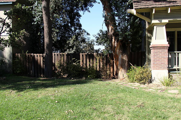 IMG 7654