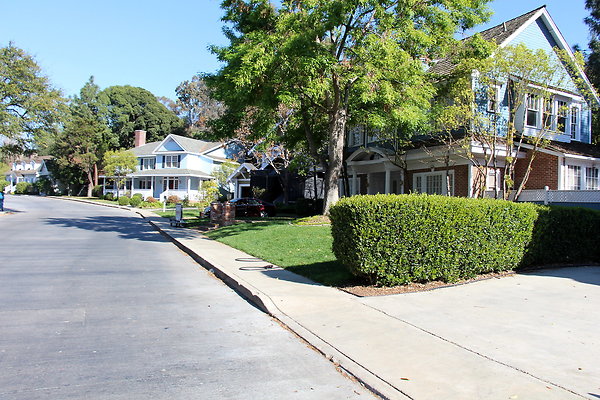 IMG 7683