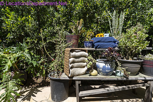 Americana Pool-26 Americana Pool-26