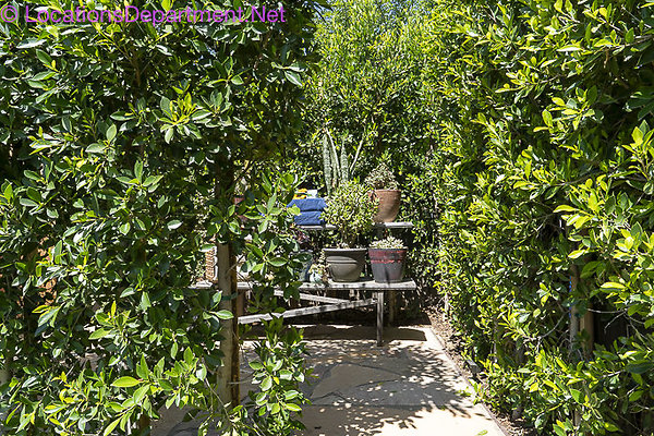 Americana Pool-22 Americana Pool-22