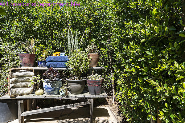 Americana Pool-23 Americana Pool-23