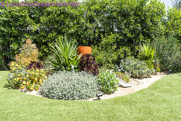 Americana Pool-20 Americana Pool-20