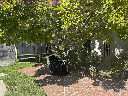 AMERICANA 194-55 AMERICANA 194-55