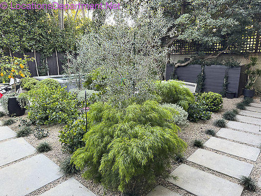 SPANISH 3136-22 SPANISH 3136-22