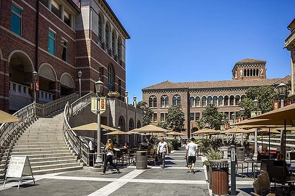 255-1htpc5u 255-1htpc5u