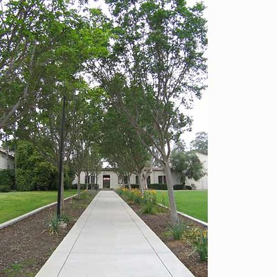 oxywalkway oxywalkway