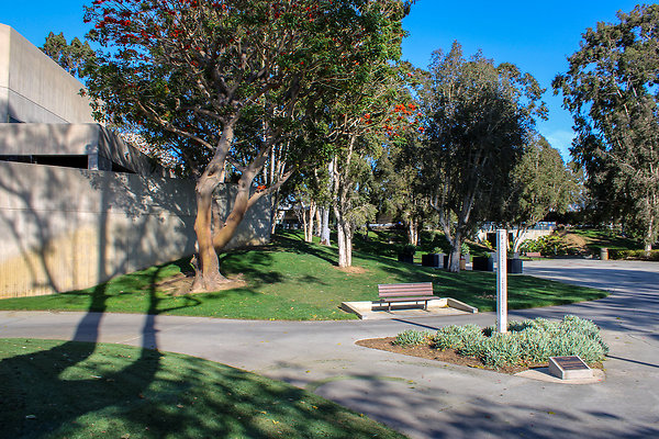 UT - West Back Exterior