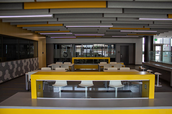 Science + Innovation