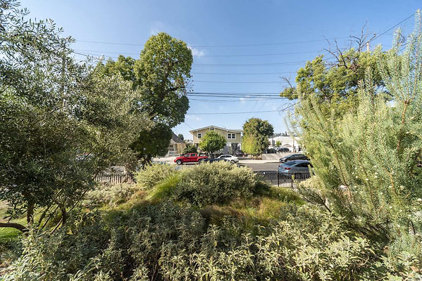 13529 reverse 1 13529 reverse 1