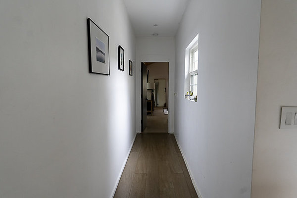 Americana 166-67 Americana 166-67