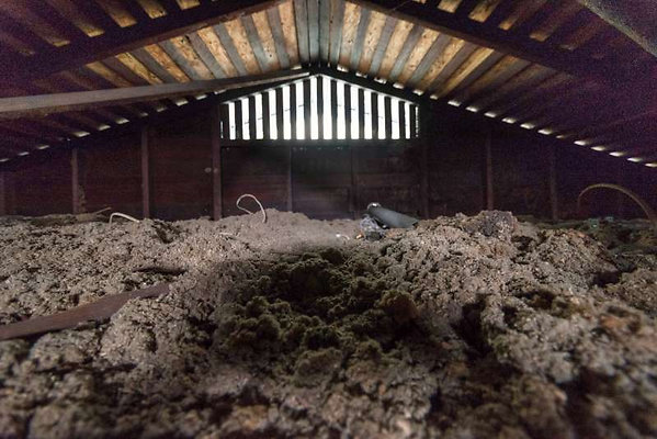 10924 attic 2 10924 attic 2