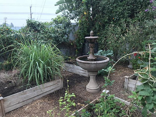 10924 fountain 1 10924 fountain 1