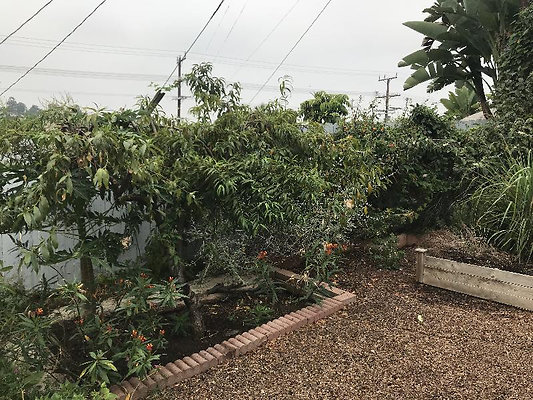 10924 garden 3 10924 garden 3