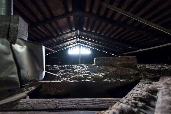 10924 attic 1 10924 attic 1