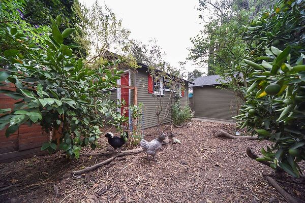 13834 garden 7 13834 garden 7