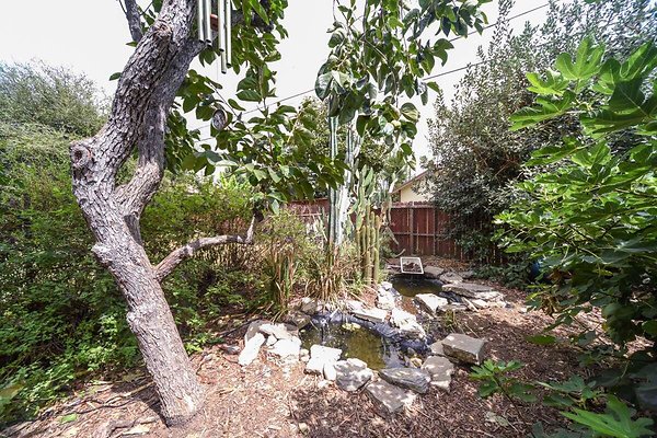 13834 pond 1 13834 pond 1