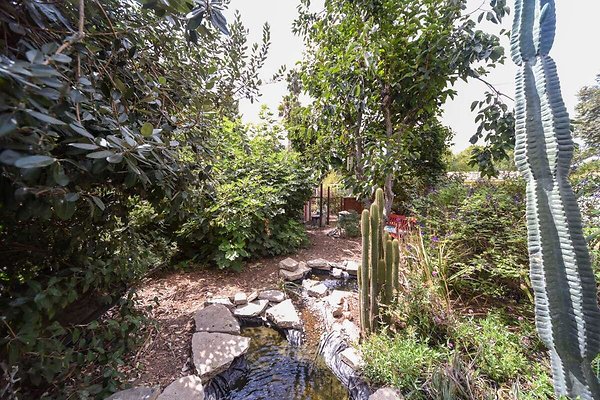 13834 pond 2 13834 pond 2