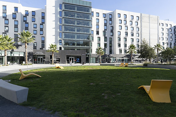 CAL STATE LA-184 CAL STATE LA-184