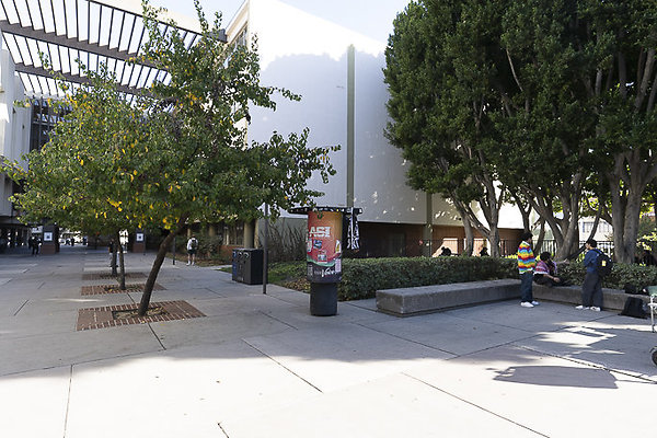 CAL STATE LA-83 CAL STATE LA-83