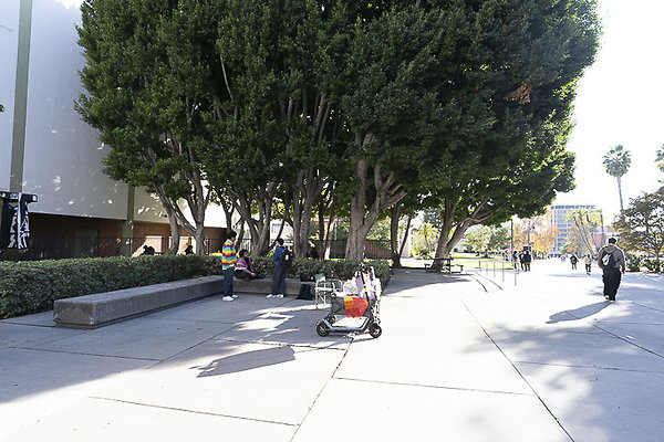 CAL STATE LA-85 CAL STATE LA-85