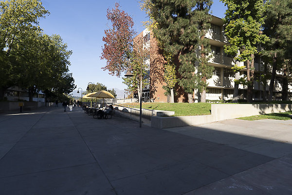 CAL STATE LA-161 CAL STATE LA-161