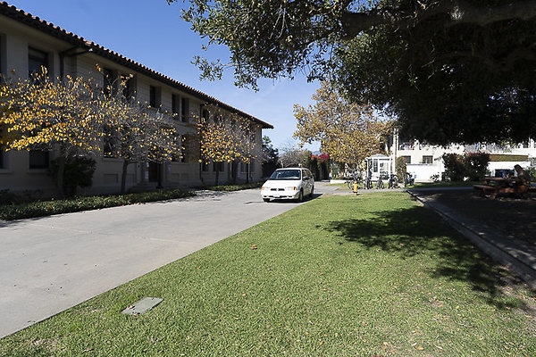 OCCIDENTAL COLLEGE-37