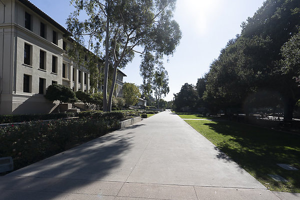 OCCIDENTAL COLLEGE-65 OCCIDENTAL COLLEGE-65