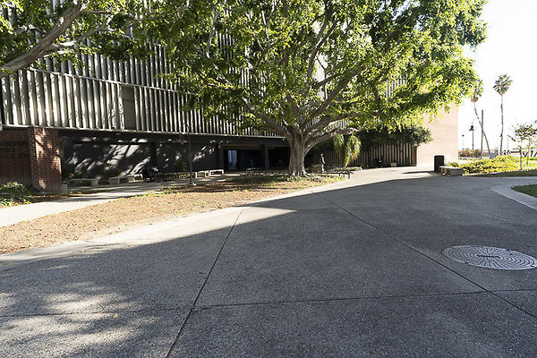 CAL STATE LA-60 CAL STATE LA-60