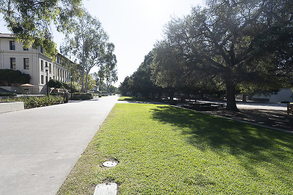 OCCIDENTAL COLLEGE-58