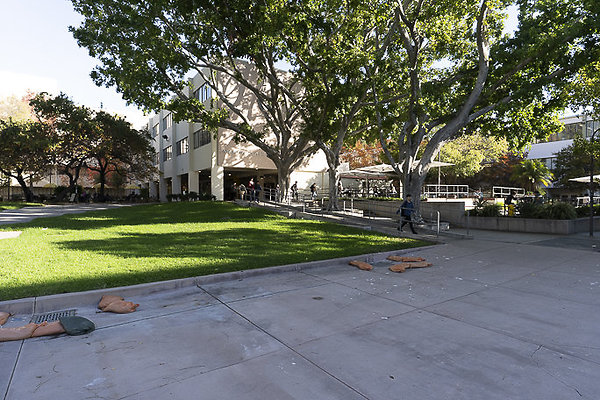 CAL STATE LA-157 CAL STATE LA-157