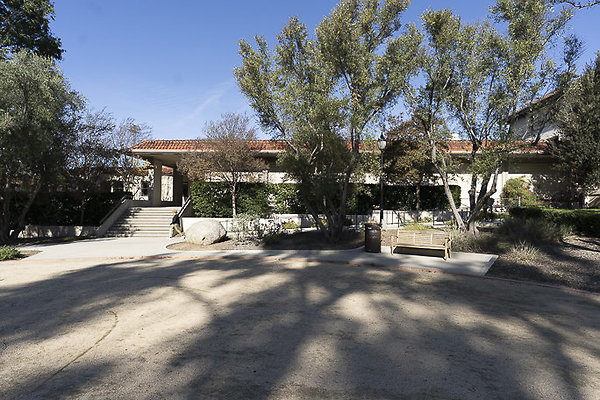 OCCIDENTAL COLLEGE-14